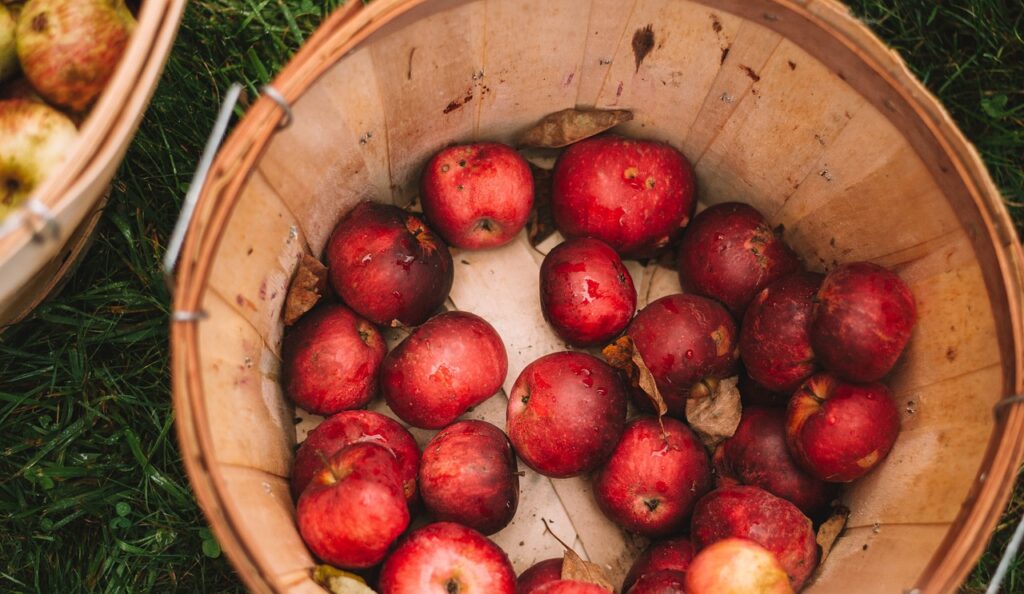 types of cider 