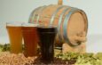 Home Brewing: Everything You Need to Know to Get Started