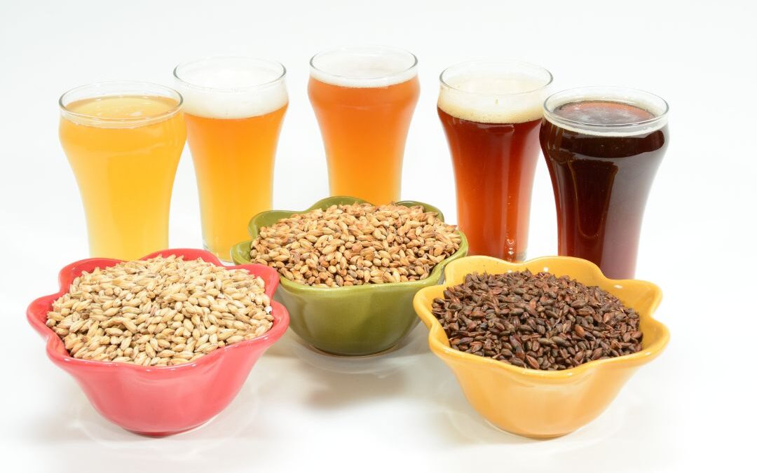 home brew, beer blogs